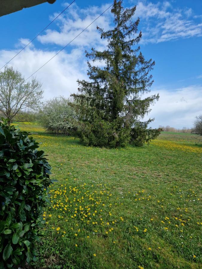 Maison Cassin47 Lavergne  Esterno foto